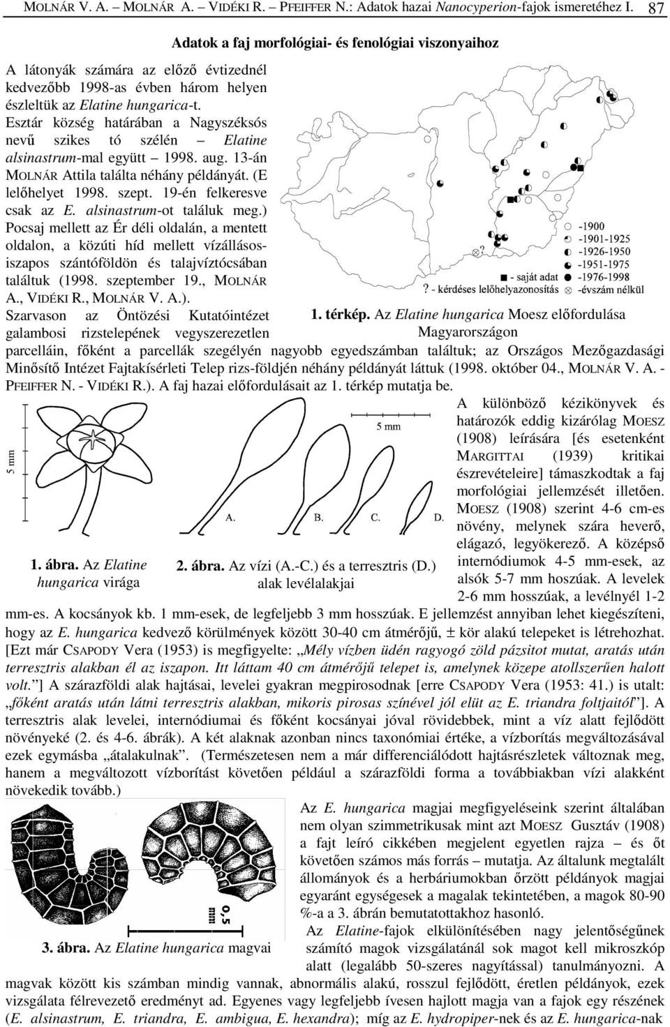 Esztár község határában a Nagyszéksós nevű szikes tó szélén Elatine alsinastrum-mal együtt 1998. aug. 13-án MOLNÁR Attila találta néhány példányát. (E lelőhelyet 1998. szept.