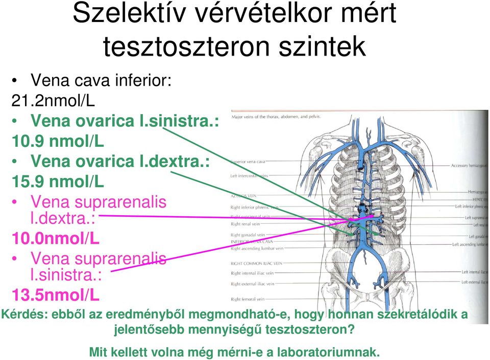 sinistra.: 13.