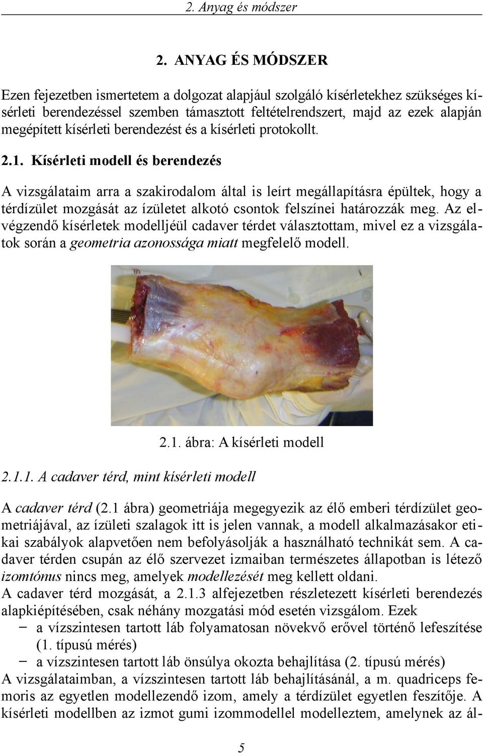 prookoll. 2.1. Kíérlei modell é berendezé A vizgálaaim arra a zakirodalom álal i leír megállapíára épülek, hogy a érdízüle mozgáá az ízülee alkoó conok felzínei haározzák meg.