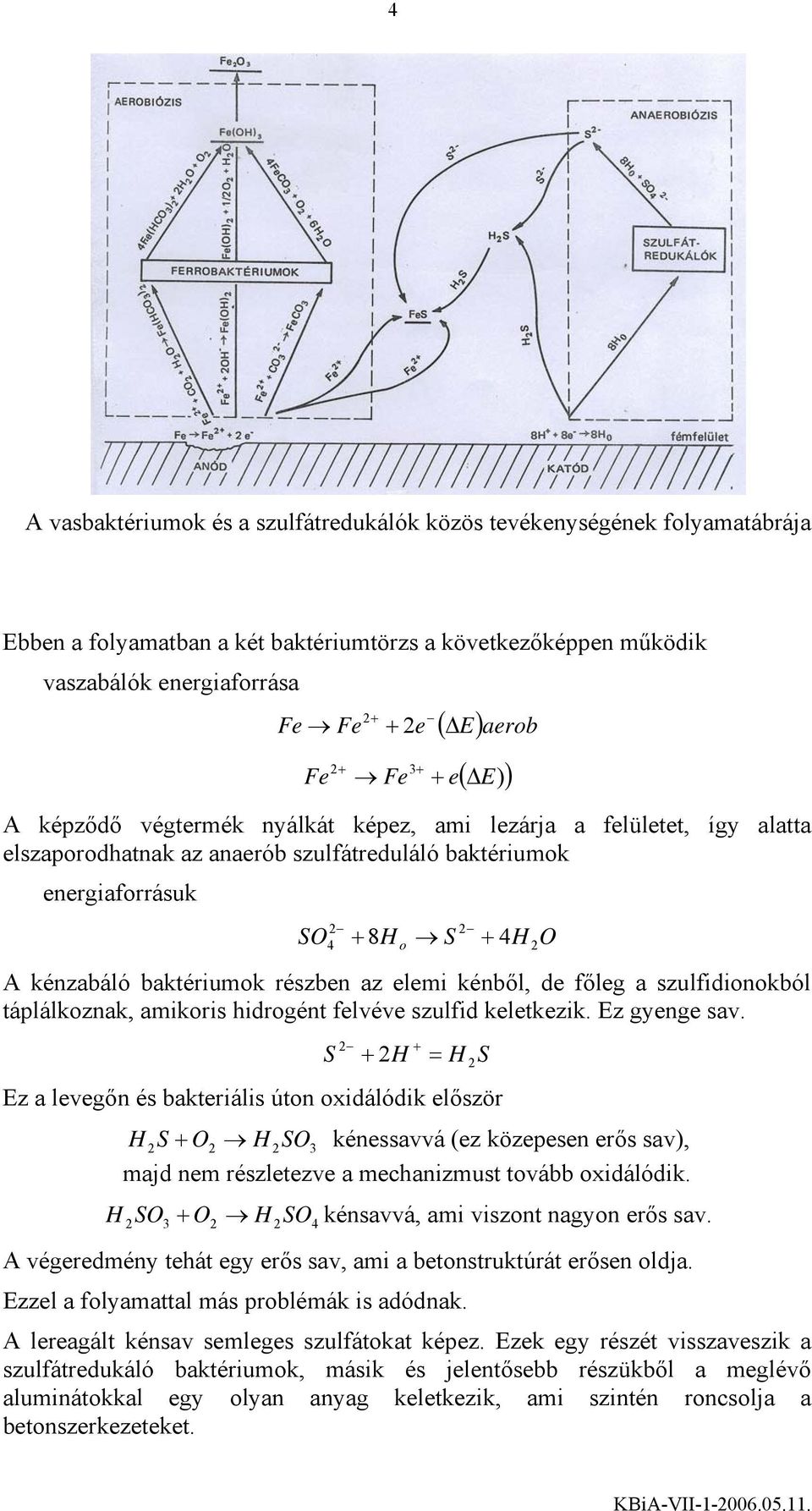 baktériumok részben az elemi kénből, de főleg a szulfidionokból táplálkoznak, amikoris hidrogént felvéve szulfid keletkezik. Ez gyenge sav.