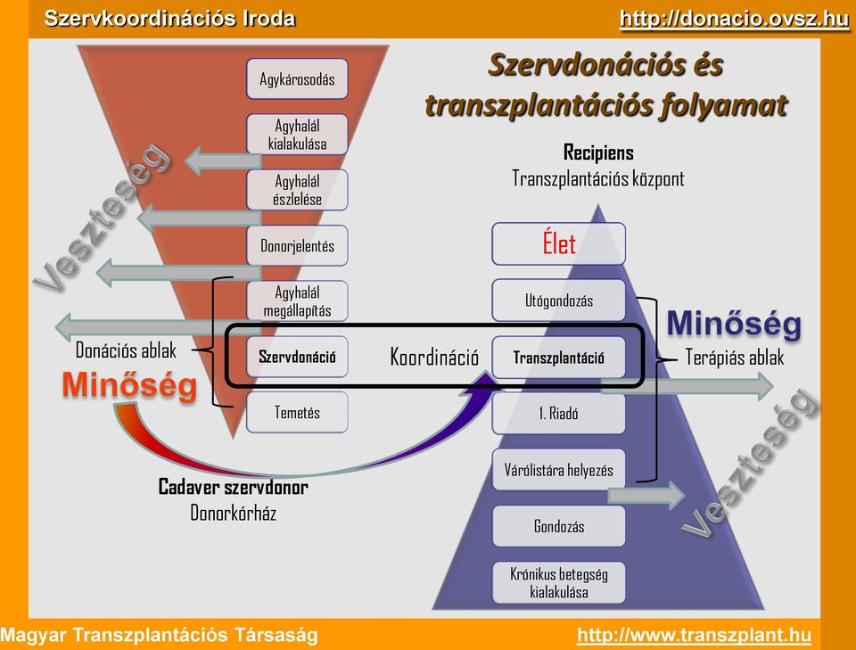 Utógondozás Donációs ablak Szervdonáció Koordináció Transzplantáció Terápiás ablak Temetés