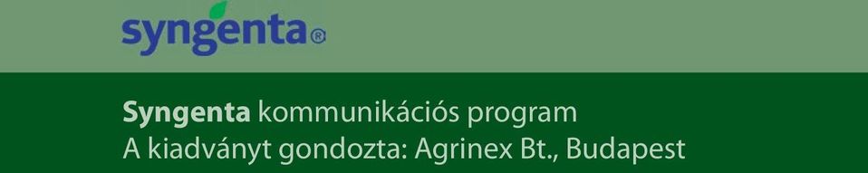 program A