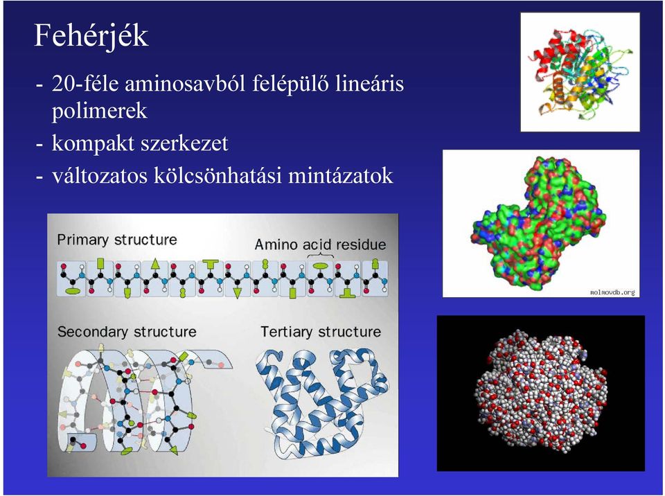 lineáris polimerek - kompakt