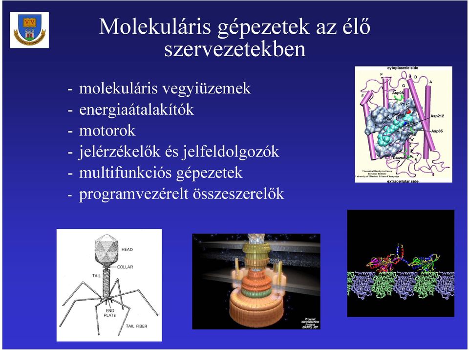 motorok - jelérzékelők és jelfeldolgozók -