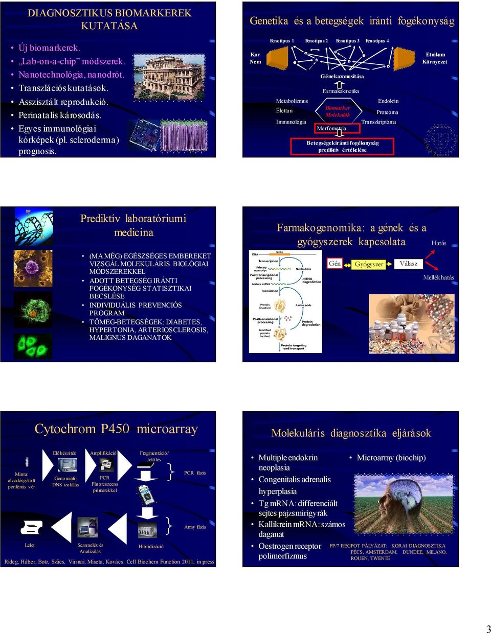 Kor Nem Fenotipus 1 Fenotipus 2 Fenotipus 3 Fenotipus 4 Metabolizmus Élettan Immunológia Gének azonosítása Farmakokinetika Biomarker Molekulák Morfometria Betegségek iránti fogékonyság prediktív