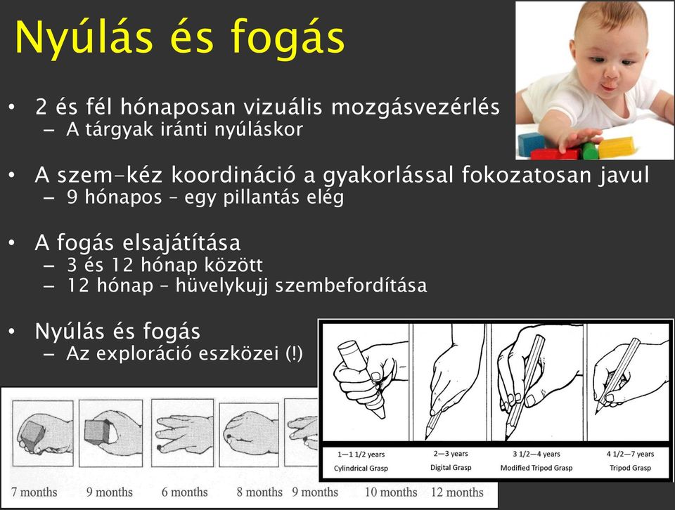 9 hónapos egy pillantás elég A fogás elsajátítása 3 és 12 hónap között