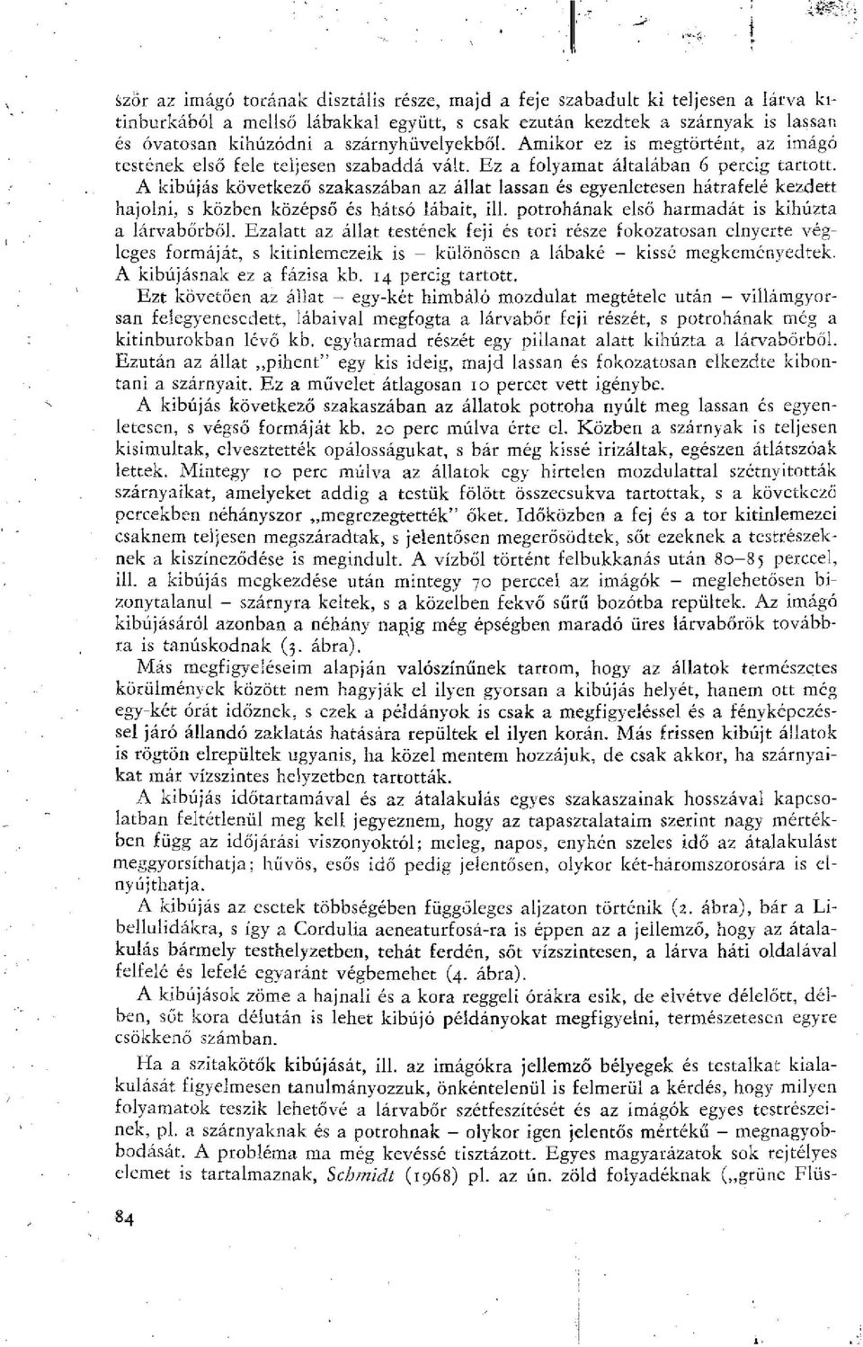 A kibújás következő szakaszában az állat lassan és egyenletesen hátrafelé kezdett hajolni, s közben középső és hátsó lábait, ill. potrohának első harmadát is kihúzta a lárvabőrből.