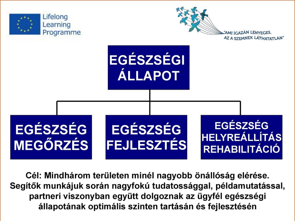 Segítők munkájuk során nagyfokú tudatossággal, példamutatással, partneri