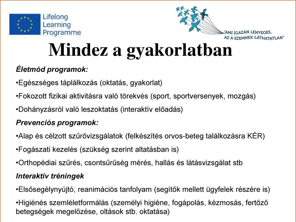 kezelés (szükség szerint altatásban is) Orthopédiai szűrés, csontsűrűség mérés, hallás és látásvizsgálat stb Interaktív tréningek Elsősegélynyújtó, reanimációs