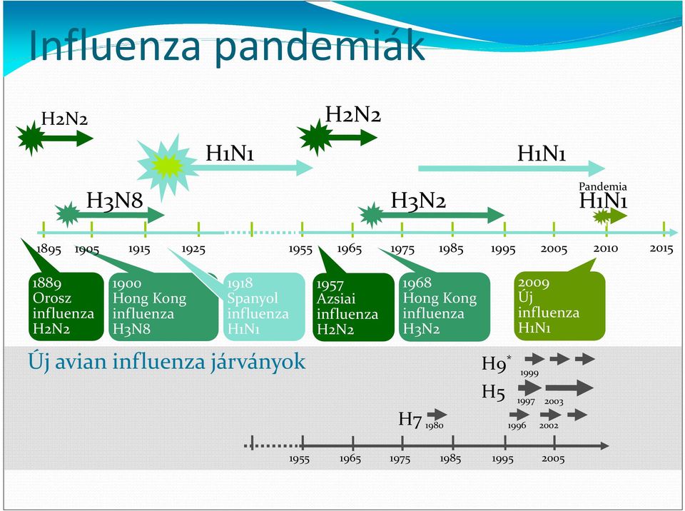 Spanyol influenza H1N1 Új avian influenza járványok 1957 Azsiai influenza H2N2 1968 Hong Kong
