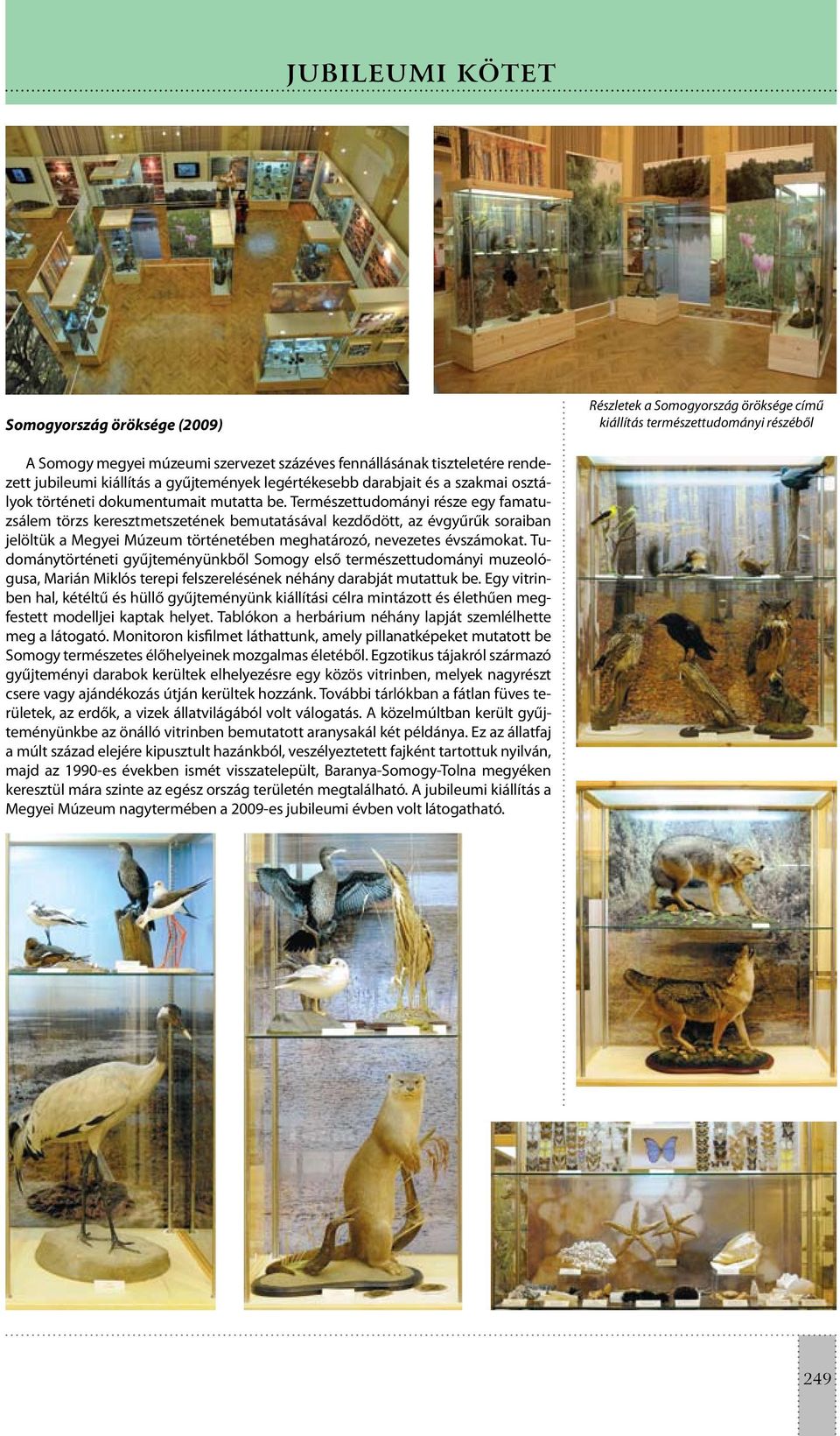 Természettudományi része egy famatuzsálem törzs keresztmetszetének bemutatásával kezdődött, az évgyűrűk soraiban jelöltük a Megyei Múzeum történetében meghatározó, nevezetes évszámokat.