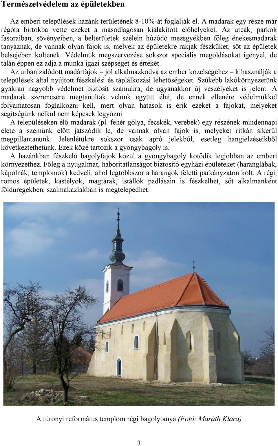 belsejében költenek. Védelmük megszervezése sokszor speciális megoldásokat igényel, de talán éppen ez adja a munka igazi szépségét és értékét.