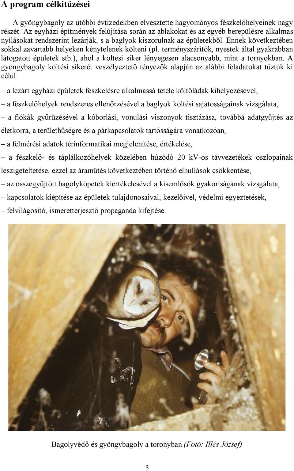 Ennek következtében sokkal zavartabb helyeken kénytelenek költeni (pl. terményszárítók, nyestek által gyakrabban látogatott épületek stb.