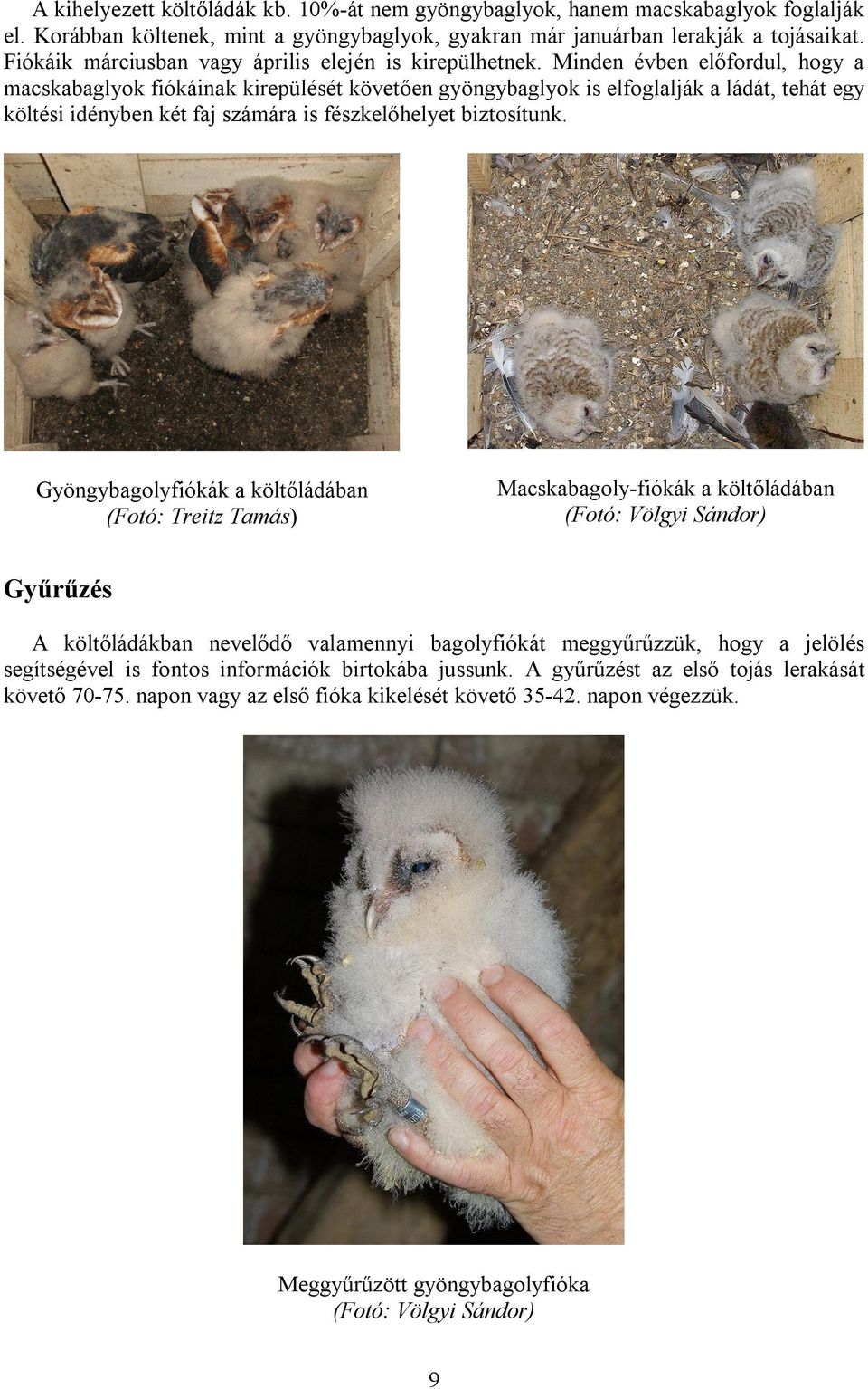 Minden évben előfordul, hogy a macskabaglyok fiókáinak kirepülését követően gyöngybaglyok is elfoglalják a ládát, tehát egy költési idényben két faj számára is fészkelőhelyet biztosítunk.