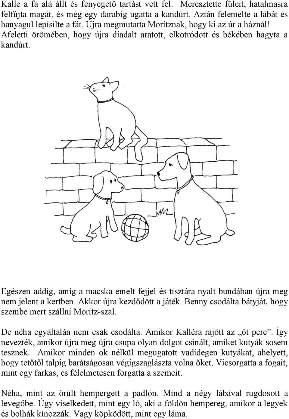 Egészen addig, amíg a macska emelt fejjel és tisztára nyalt bundában újra meg nem jelent a kertben. Akkor újra kezdődött a játék. Benny csodálta bátyját, hogy szembe mert szállni Moritz-szal.