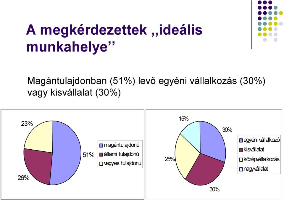 30% 26% 51% magántulajdonú állami tulajdonú vegyes tulajdonú