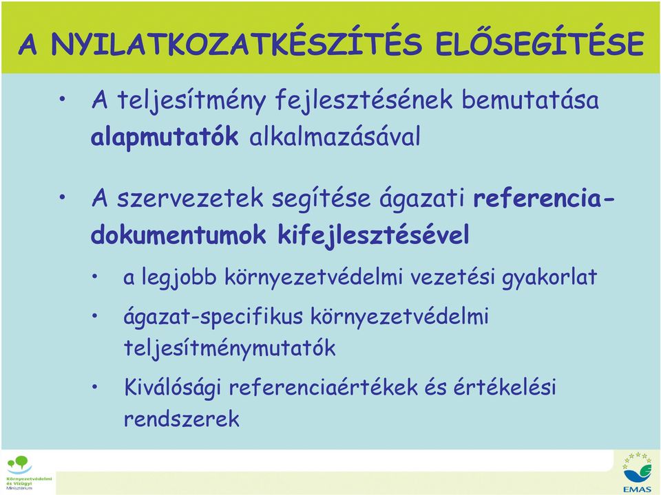 kifejlesztésével a legjobb környezetvédelmi vezetési gyakorlat ágazat-specifikus