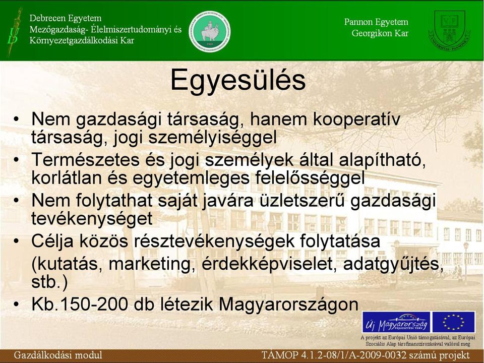 folytathat saját javára üzletszerű gazdasági tevékenységet Célja közös résztevékenységek