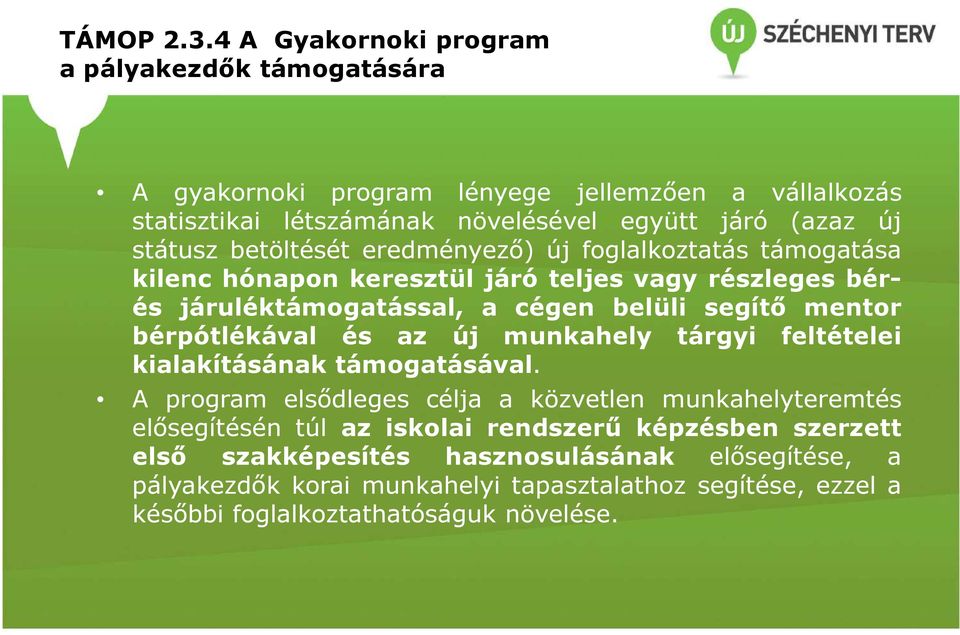 betöltését eredményező) új foglalkoztatás támogatása kilenc hónapon keresztül járó teljes vagy részleges bérés járuléktámogatással, a cégen belüli segítő mentor