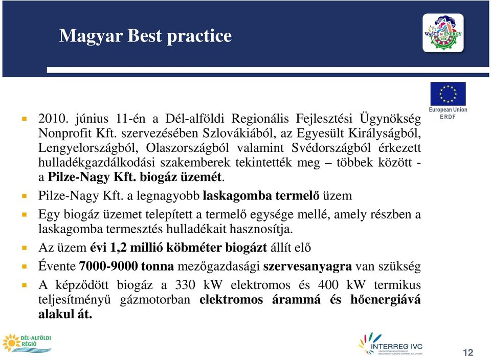 a Pilze-Nagy Kft. biogáz üzemét. Pilze-Nagy Kft. a legnagyobb laskagomba termelı üzem Egy biogáz üzemet telepített a termelı egysége mellé, amely részben a laskagomba termesztés hulladékait hasznosítja.