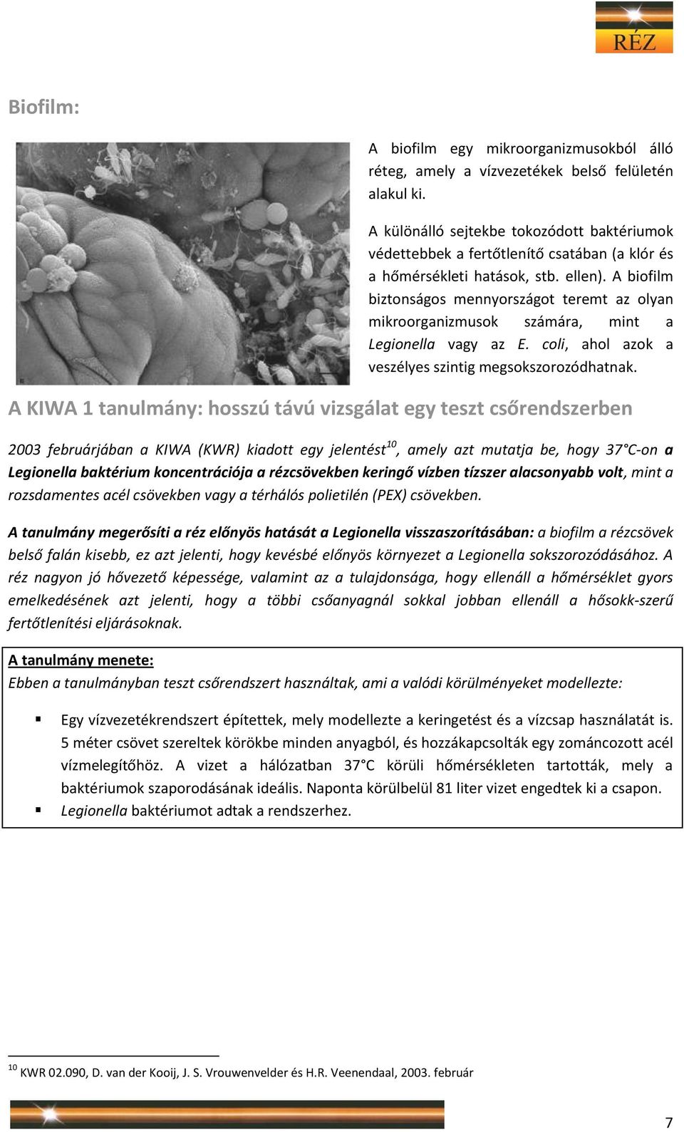 A biofilm biztonságos mennyországot teremt az olyan mikroorganizmusok számára, mint a Legionella vagy az E. coli, ahol azok a veszélyes szintig megsokszorozódhatnak.