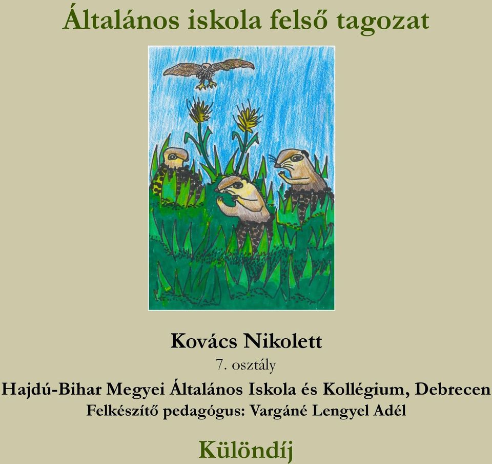 osztály Hajdú-Bihar Megyei Általános