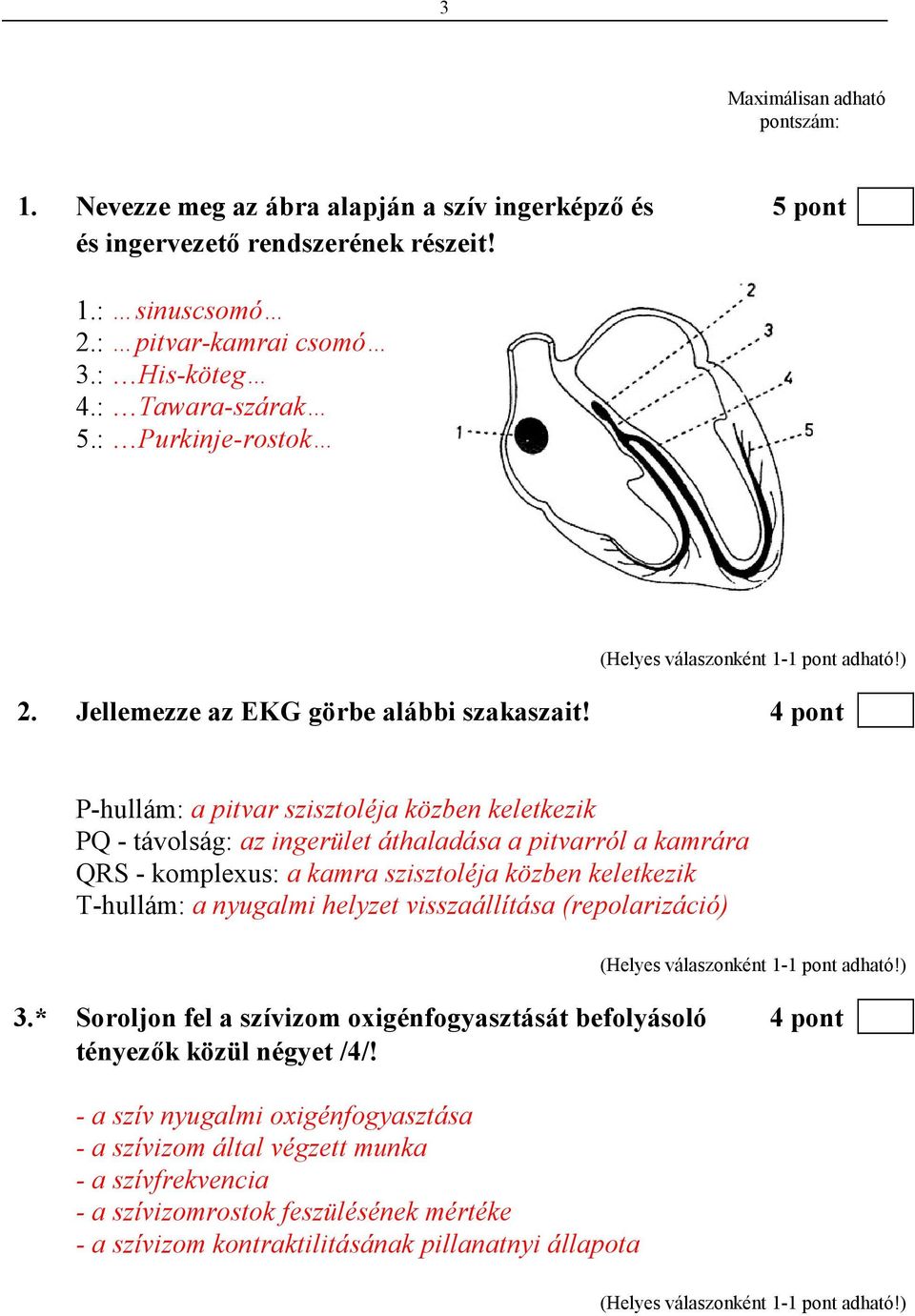 4 pont P-hullám: a pitvar szisztoléja közben keletkezik PQ - távolság: az ingerület áthaladása a pitvarról a kamrára QRS - komplexus: a kamra szisztoléja közben keletkezik T-hullám: a nyugalmi