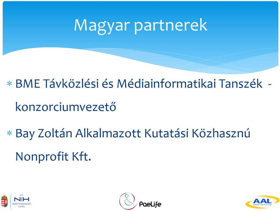 konzorciumvezető Bay Zoltán