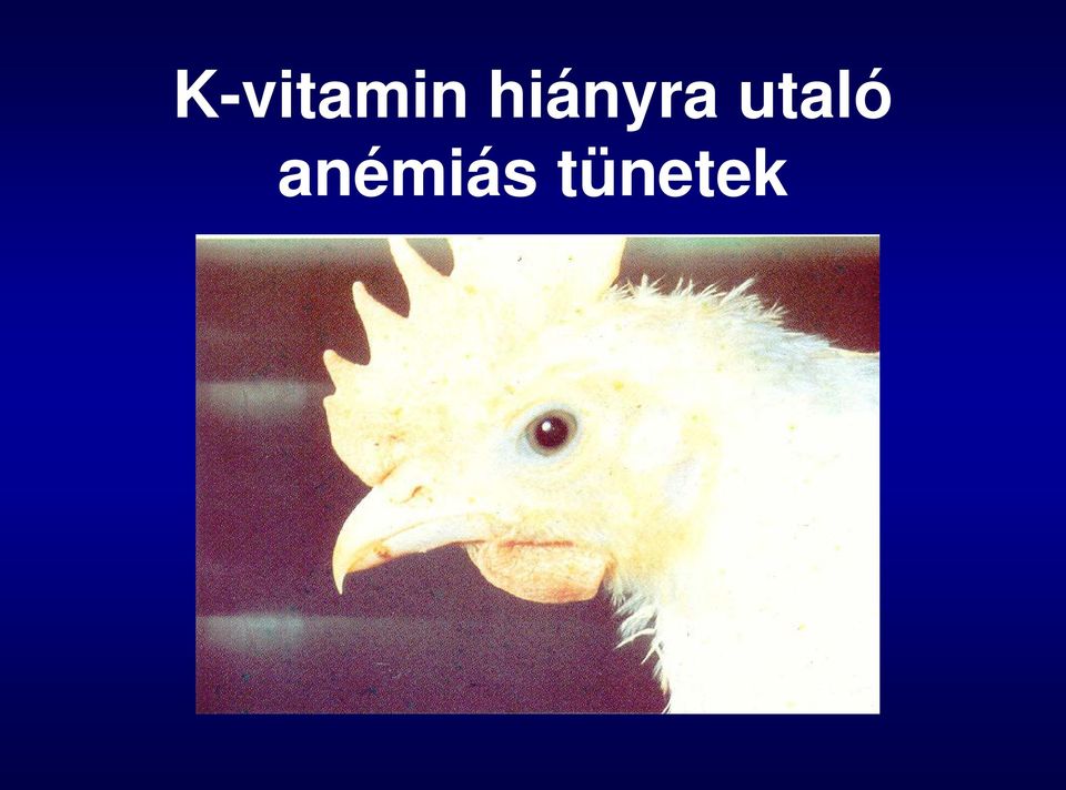 utaló