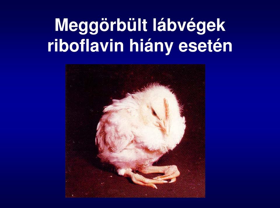 riboflavin