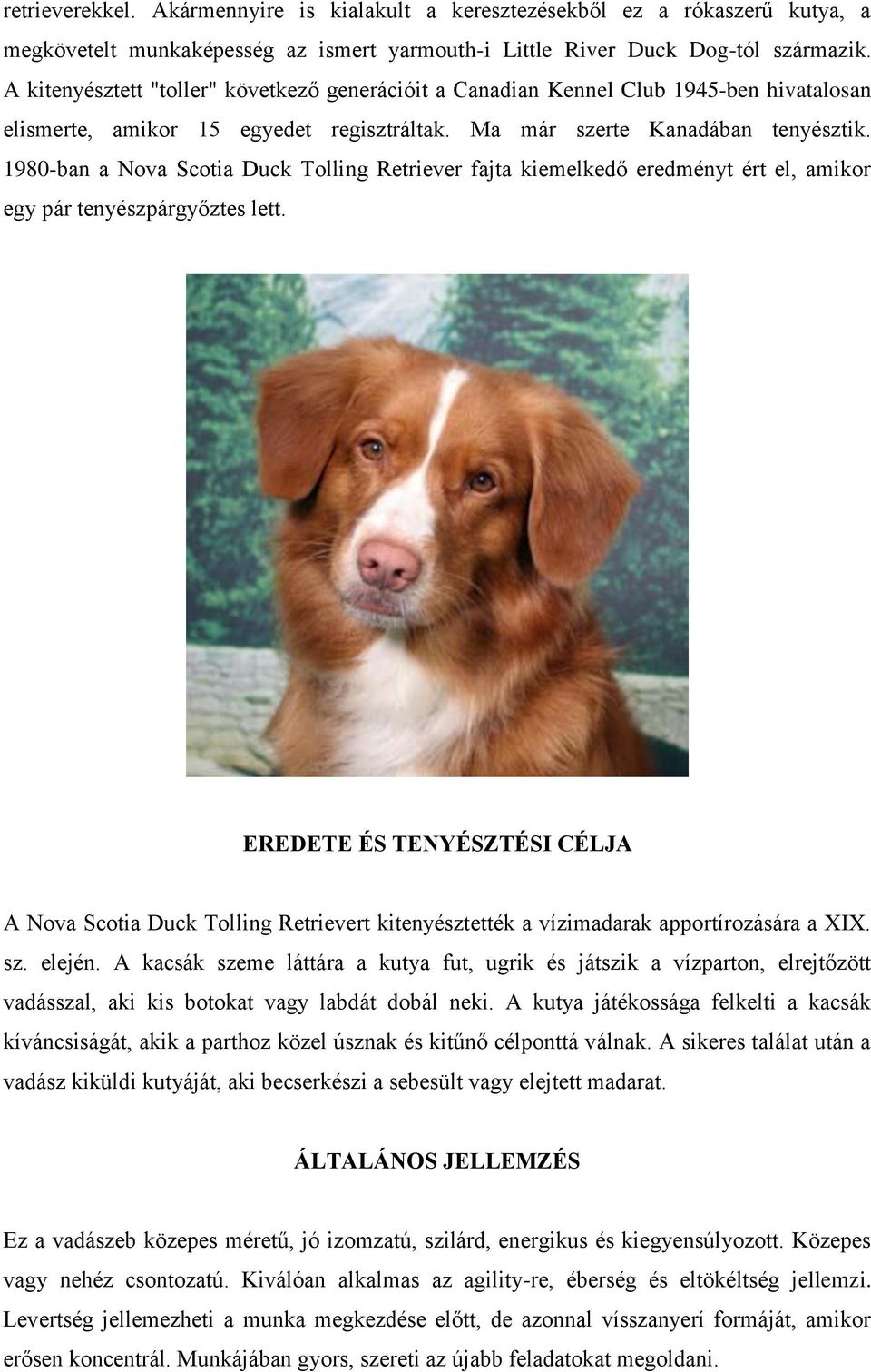 1980-ban a Nova Scotia Duck Tolling Retriever fajta kiemelkedő eredményt ért el, amikor egy pár tenyészpárgyőztes lett.