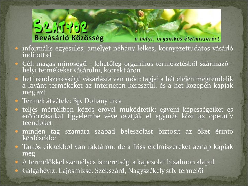 Dohány utca teljes mértékben közös erővel működtetik: egyéni képességeiket és erőforrásaikat figyelembe véve osztják el egymás közt az operatív teendőket minden tag számára szabad beleszólást