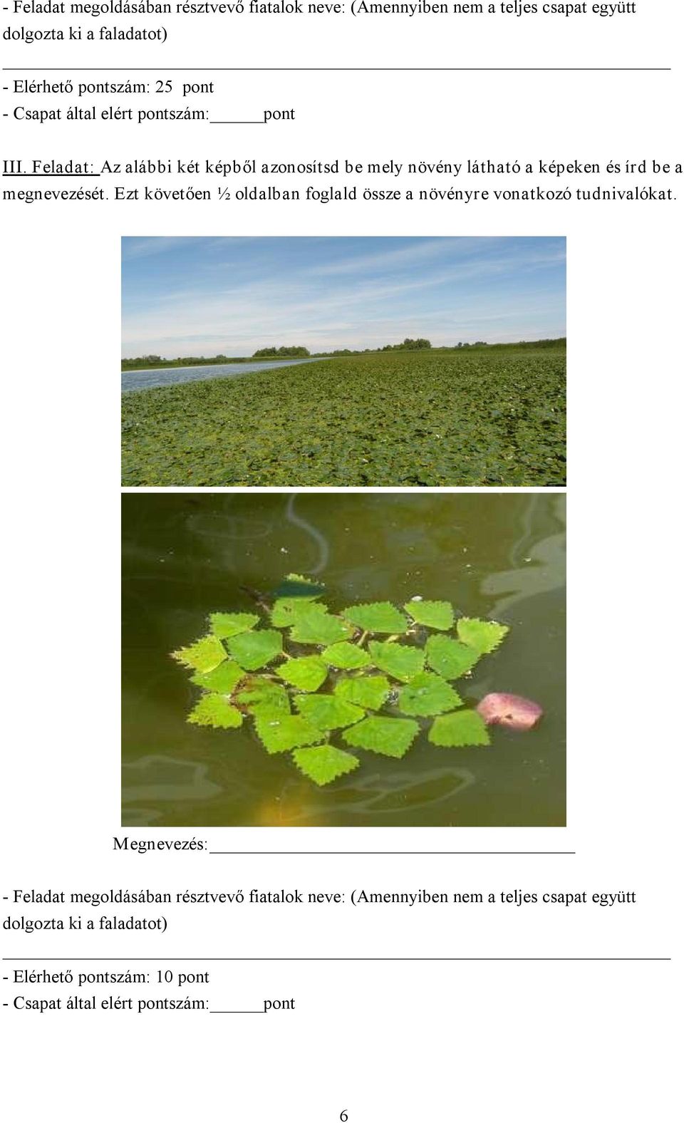 Feladat: Az alábbi két képből azonosítsd be mely növény látható a képeken és írd be a megnevezését.