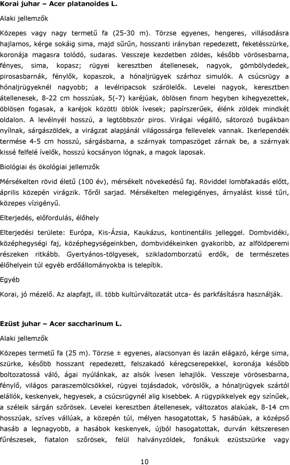 Vesszeje kezdetben zöldes, később vörösesbarna, fényes, sima, kopasz; rügyei keresztben átellenesek, nagyok, gömbölydedek, pirosasbarnák, fénylők, kopaszok, a hónaljrügyek szárhoz simulók.