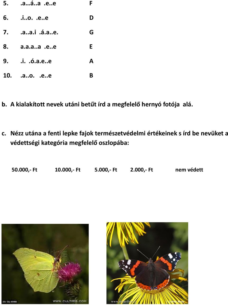 Nézz utána a fenti lepke fajok természetvédelmi értékeinek s írd be nevüket a védettségi