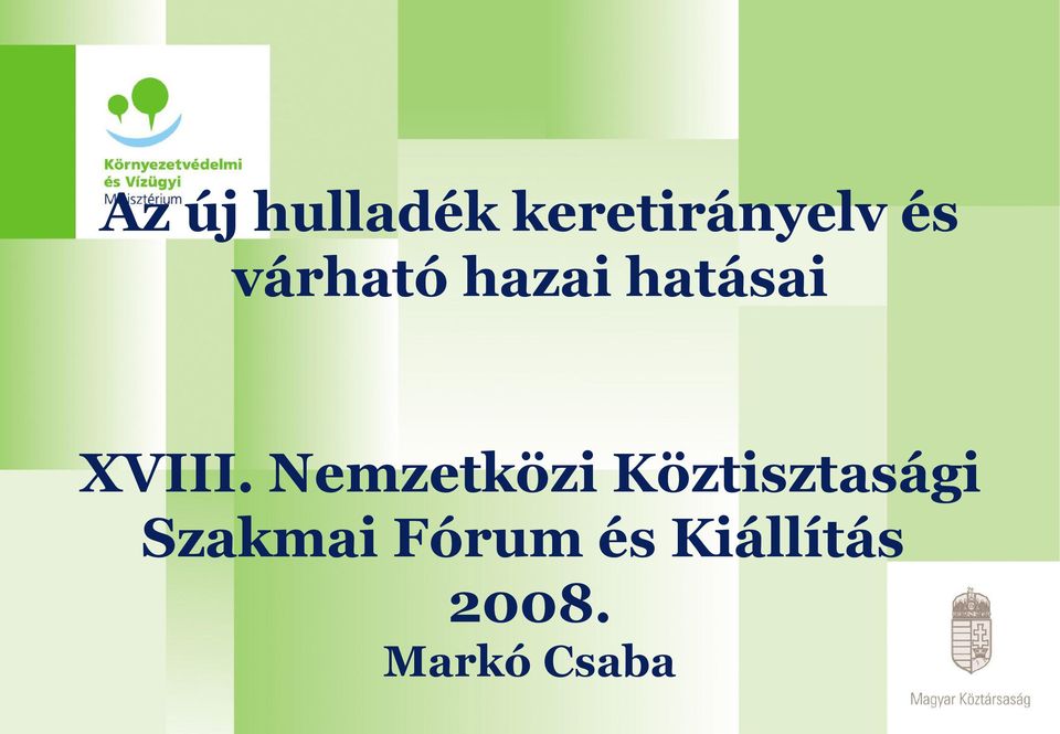 Nemzetközi Köztisztasági Szakmai