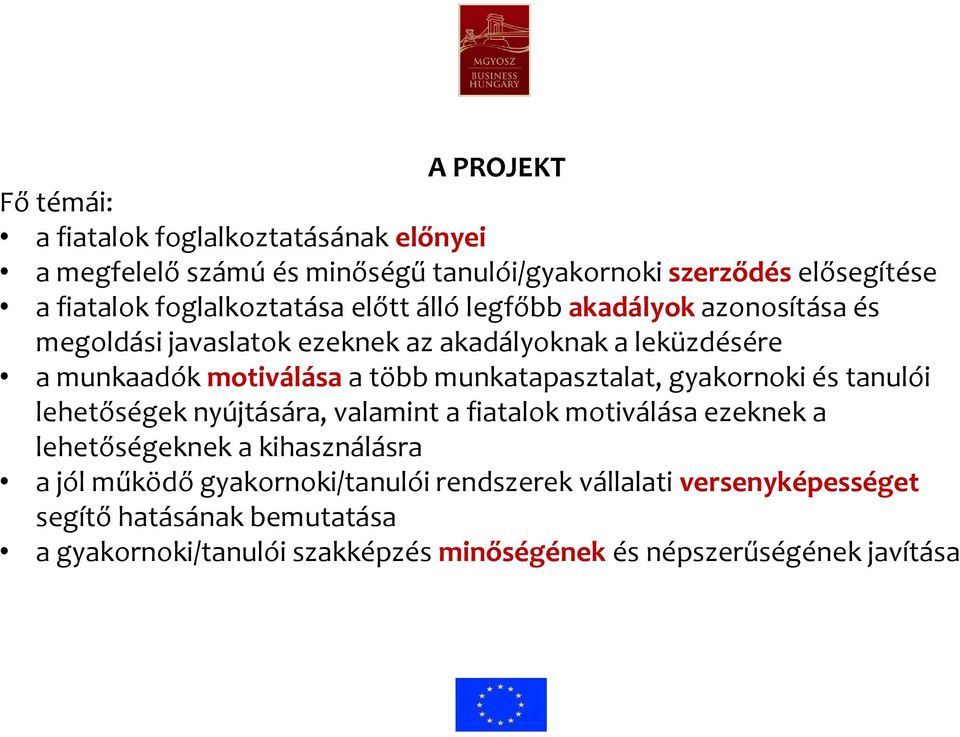 munkatapasztalat, gyakornoki és tanulói lehetőségek nyújtására, valamint a fiatalok motiválása ezeknek a lehetőségeknek a kihasználásra a jól működő