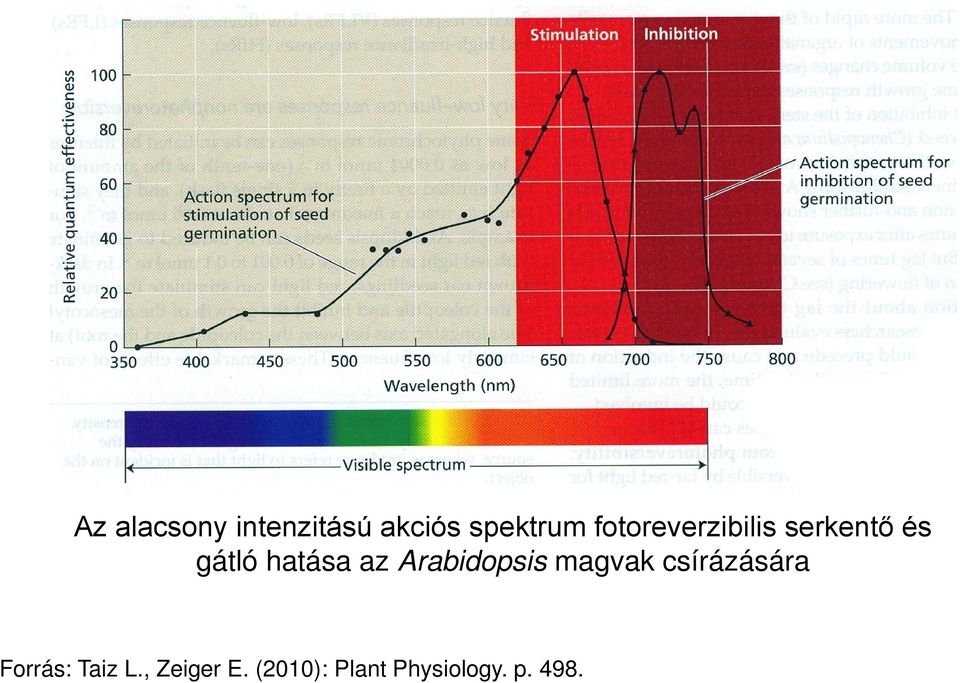 az Arabidopsis magvak csírázására Forrás: