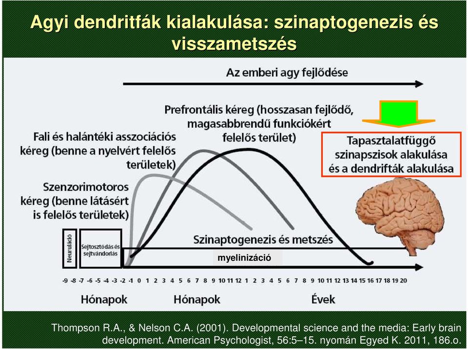 Developmental science and the media: Early brain