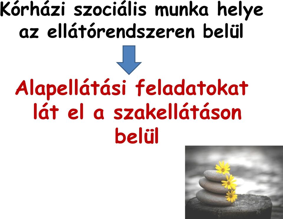 belül Alapellátási