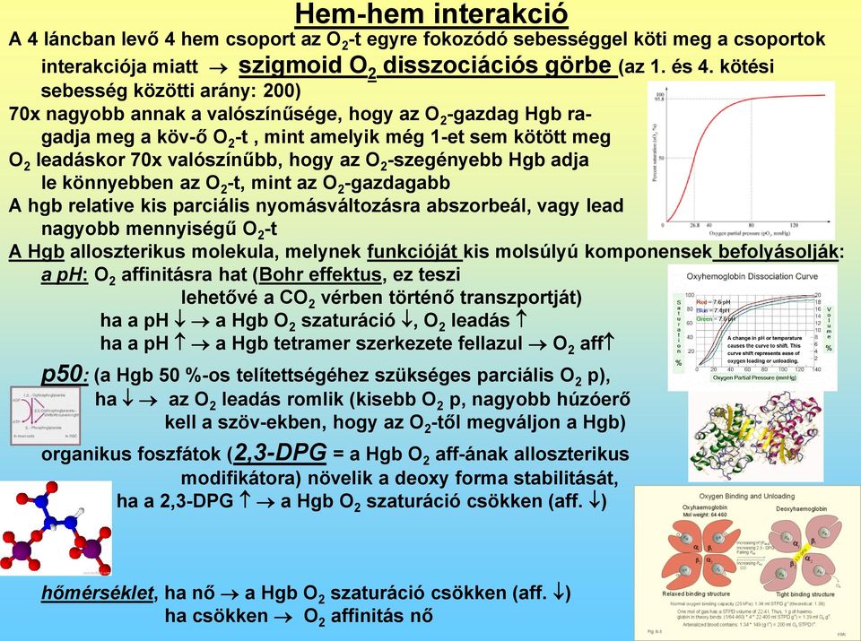 lepore vérszegénység)