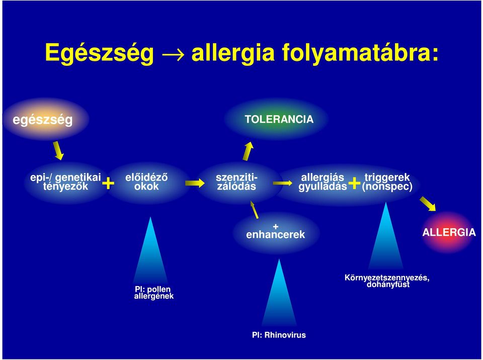 allergiás gyulladás triggerek (nonspec) + enhancerek