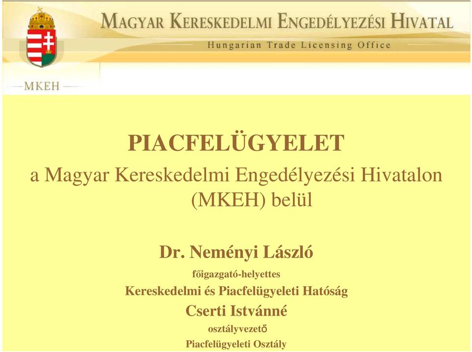 Neményi László fıigazgató-helyettes Kereskedelmi és