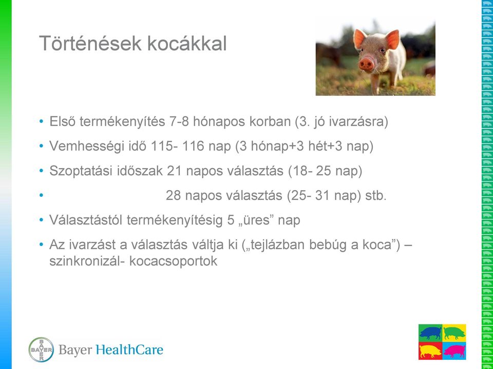 napos választás (18-25 nap) 28 napos választás (25-31 nap) stb.