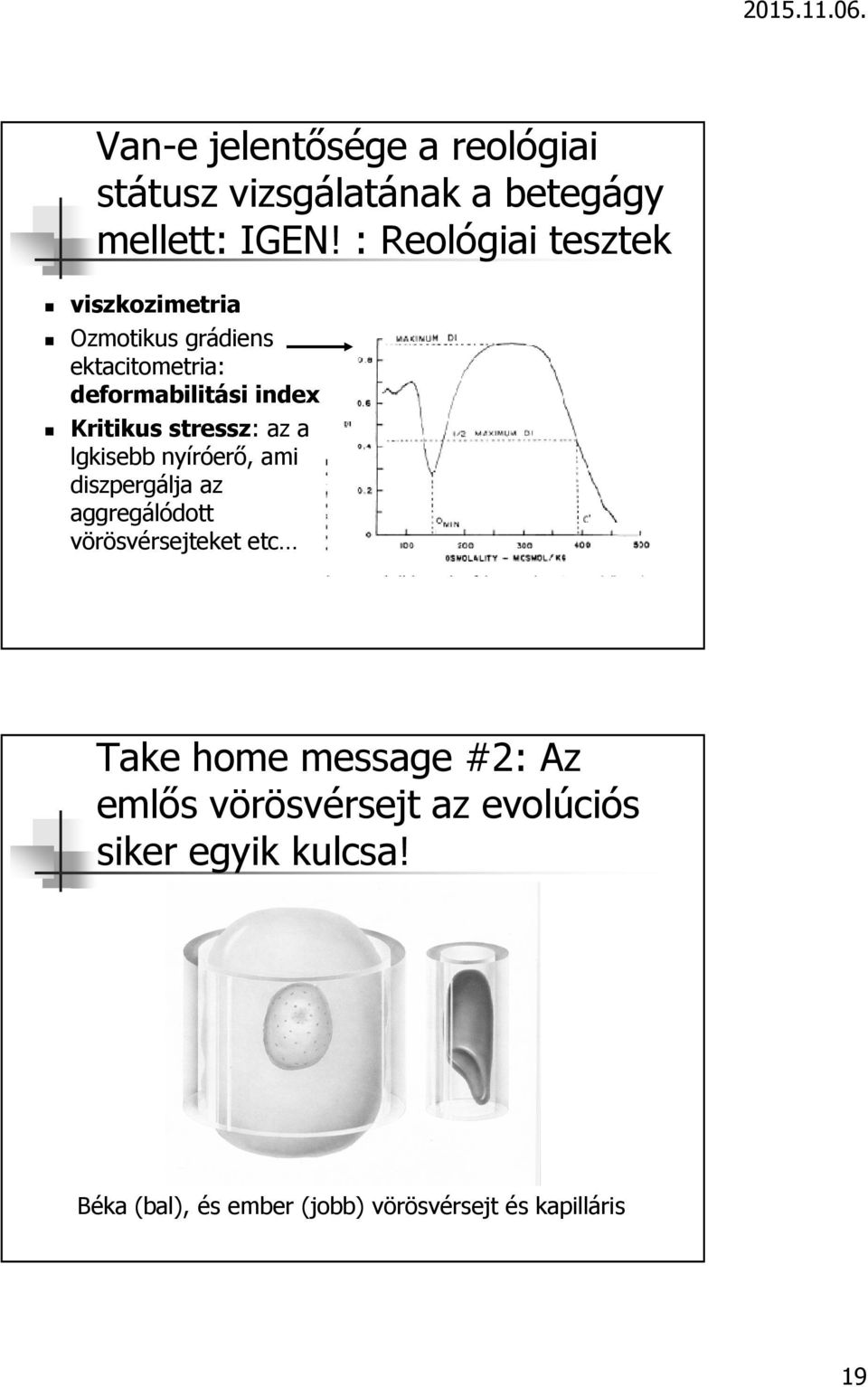 stressz: az a lgkisebb nyíróerő, ami diszpergálja az aggregálódott vörösvérsejteket etc Take home