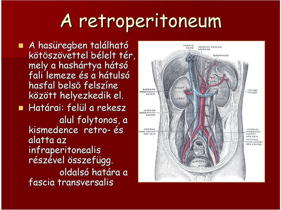 helyezkedik el.