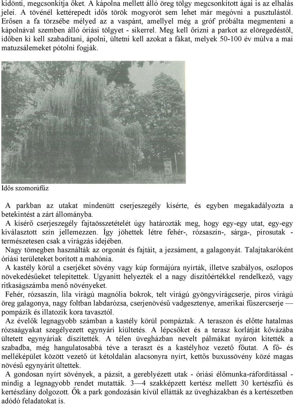 Meg kell őrizni a parkot az elöregedéstől, időben ki kell szabadítani, ápolni, ültetni kell azokat a fákat, melyek 50-100 év múlva a mai matuzsálemeket pótolni fogják.