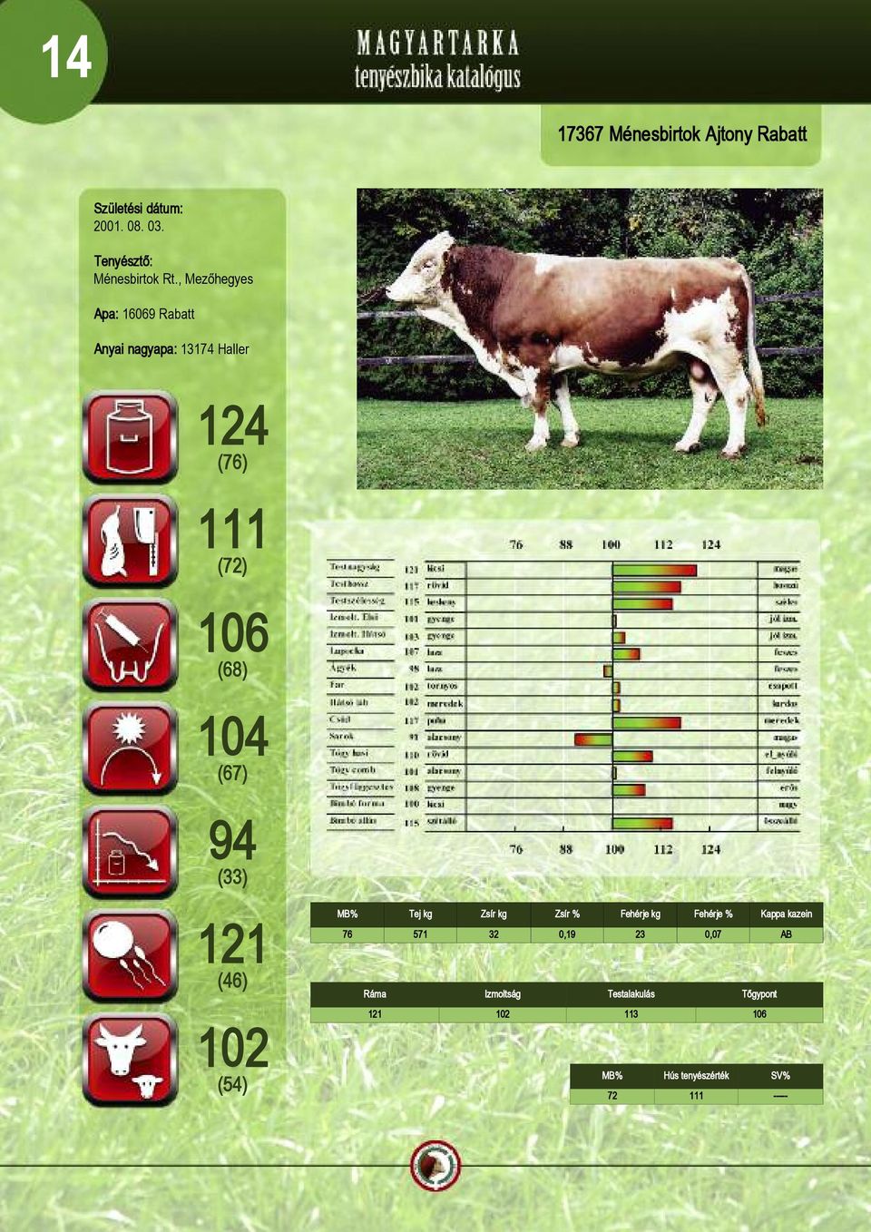 , Mezõhegyes Apa: 16069 Rabatt Anyai nagyapa: 13174 Haller