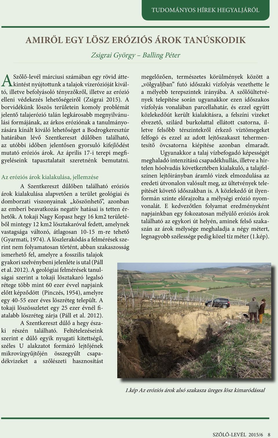 A borvidékünk löszös területein komoly problémát jelentő talajerózió talán legkárosabb megnyilvánulási formájának, az árkos eróziónak a tanulmányozására kínált kiváló lehetőséget a Bodrogkeresztúr
