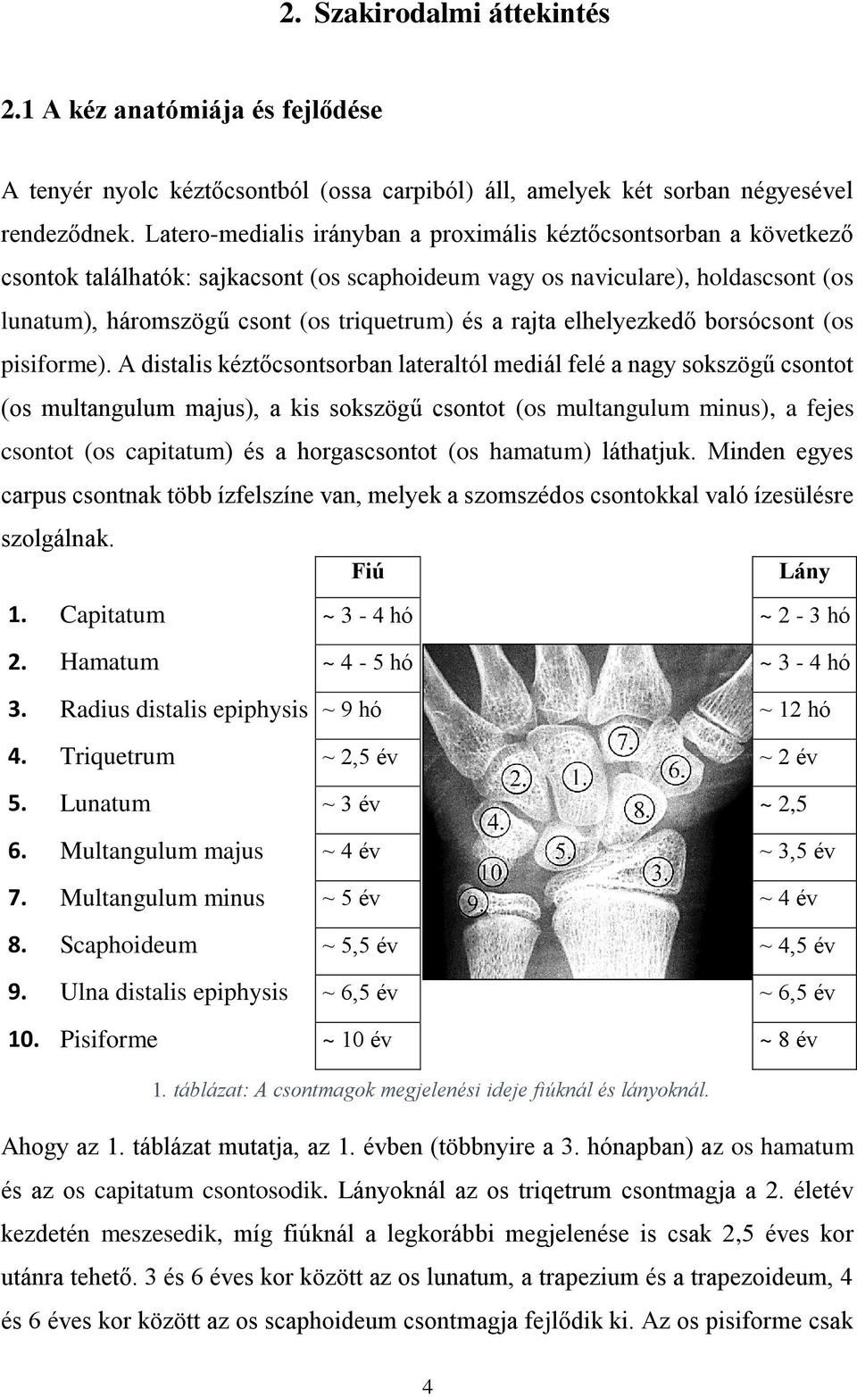 rajta elhelyezkedő borsócsont (os pisiforme).